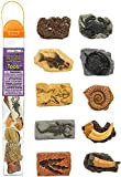 Safari Ltd 684804Tubo Antichi fossili