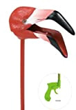 Safari_Ltd Flamingo-Schnapper