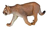 Safari s291529 Wild North American Wildlife Mountain Lion in Miniatura