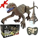 SAKHRI PARIS Rex il dinosauro di Parigi - Dinosauro telecomandato - Movimenti e suoni reali - Robot radiocomandato con joystick ...