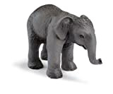 Schleich 14343 Wild Life- Cucciolo di elefante indiano