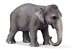Schleich 14344 - Wild Life, Elefantessa Asiatica
