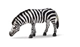 Schleich 14609 Wild Life- Zebra che pascola