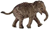 Schleich-SCHLEICH-2514755 Cucciolo di Elefante Asiatico, 14755