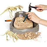 Science Can Fossili da Scavare con 2 Dinosauri, Kit Dinosauri T-Rex per Bambini, Scheletro Dinosauro da Construire, Kit Paleontologo e ...