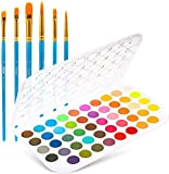 Set di colori ad acquerello, Ohuhu 48 colori vibranti colori ad acqua, padella leggera e portatile con 6 pennelli Pittura ...