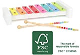 Small Foot- Xylofono Sound in Legno Certificato FSC 100%, dal Design colorato, promuove la comprensione Musicale Giocattoli, Multicolore, 11117