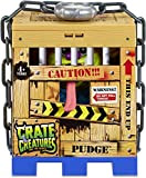 Splash Toys- Crate Creature Pudge, 31255