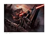 Star Wars Sideshow Collectibles - Stampa artistica Darth Maul: Savage Rage 46 x 61 cm, senza cornice