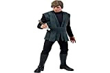 Star Wars Sideshow Return Of The Jedi Luke Skywalker Deluxe Action Figure