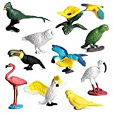 Statuette Realistiche Di Uccelli 10pcs Figure Di Uccelli Realistico Cercando Animali Giocattoli Set Giocattoli Di Plastica Per Animali Giocattoli Di ...