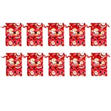 STOBOK 10 Pz Sacchetto di Caramelle Trasparente Sacchetti Regalo con Coulisse Babbo Natale Gioielli Sacchetti di Caramelle Sacchetti di Trattamento ...