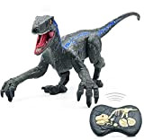 SXZHSM Giocattoli con dinosauro telecomandato, robot da passeggio, con luci a LED e ruggenti, simulazione da 2,4 Ghz Velociraptor RC ...