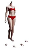 TBLeague Phicen PLSB2021-S46A 1/6 ° scala femminile piccoli seni senza soluzione di continuità Corpo figura di azione da collezione corpo ...