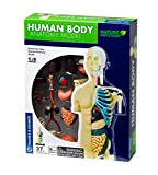 Thames And Kosmos- Human Body Anatomy, Multicolore, 260830