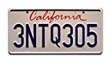 The Fast and the Furious | 3NTQ305 | Stamped License Plate