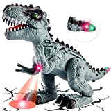 TOEY PLAY Dinosauro Giocattoli T-Rex per Ragazze dei Ragazzi, Dinosauro che Cammina, Dinosauri Giocattolo con Luci e Suoni, Giochi Dinosauri ...