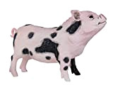 Toob "Safari Incredible Creatures Pot-Bellied Pig Miniature (Multicolore)