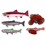 TOYANDONA 1Set di Mare Animale Ciclo di Vita Figurine di Salmone Pesce I Bambini di Plastica Marine Figure Toy Kit ...