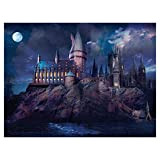 TRCS - Puzzle da 1000 pezzi di Harry Potter, Castello di Hogwarts, 69 x 51 cm, puzzle educativo classico per ...