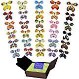 UGBO Magico Volante Farfalla Magici Flying Butterfly Toy Farfalla Volante di Carta Sorpresa Farfalle Adatto per Regali di Compleanno Carte ...