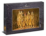 Ulmer Puzzleschmiede - Puzzle Meerkat - Motivo Puzzle di Un Divertente Gruppo di Piccoli suricati in Africa