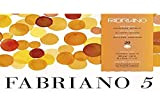 Unbekannt Fabriano Disegno 5"-Cartoncino ad Acquerello, 300 g/m2, 23 x 21 cm, 20 Fogli, 4 Lati, Senza Cloro e acidi, ...