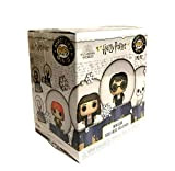USA OFFICIAL Harry Potter Mystery MINIS Snow Globe Blind Box 1 PC Random Figure Funko