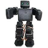 Vivi Humanoid Robot, Intelligent DOF Robot può Una Serie di Azioni da Eseguire Toy Modello Umanoidi Kit di Scienza di ...