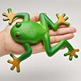 VMOPA 15 x 15 cm Squezze Frog giocattolo elastico morbido gomma rana, giocattolo divertente giocattolo squishy rana simulazione morbida gomma ...