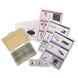 WhizKidsLab Kit da 12 Dispositive di Parti d'Insetto Set per Il Microscopio Vero Esemplare di coleottero Cartoline STEM Kit Scientifico