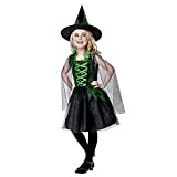 Widmann-Wicked Witch Costume per Bambini, Multicolore, (158 cm / 11-13 Anni), 07438