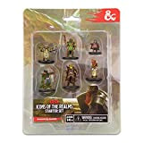 WizKids Dungeons & Dragons Icons of the Realms Starter Set