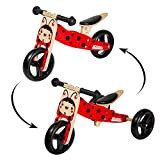 WOOMAX - Triciclo 2 in 1 senza pedali per bambino, da 1 anno, in legno, 59 x 34 x 38 ...
