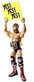 WWE Elite 28 Daniel Bryan Wrestling Action Figure