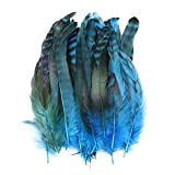 WXJ 100. PCS/Lotto 4-6 Pollici Piume di Fagiano Naturali per Artigianato Gioielli Accessori per Mano (Color : Royal Blue, Size ...