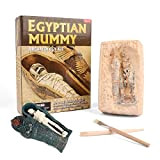 XIAOKEKE Kit per Scavare Mummie, Giocattoli per L'apprendimento Precoce, Giocattoli per L'estrazione di Scienze Naturali, Kit Antichi, Regali di Compleanno ...