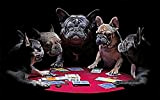 XJLAC Bulldog Francese Cane da Combattimento Cane Gioco Immagine Divertente Puzzle 1000 Pezzi Puzzle per Adulti Decompressione Bambini Rompicapo Puzzle ...
