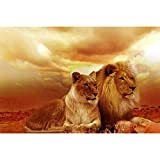 YJYG DIY-Pittura Digitale Parete Art Deco Pittura Tela Animal Lion Landscape Tela Pittura ad Regalo per Adulti e Bambini Vernice ...