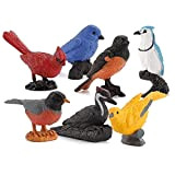Youxiu Figurine degli Uccelli 7pcs Mini Simulazione Modello Uccello Modello Miniatura Figure Animali Ornamenti Animali Guzzino Giocattolo Educativo Bird Educational