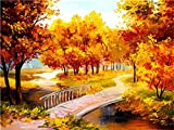ZBOYZ Diy Pittura Digitale Adulto Paesaggio Astratto Dell'Albero Autunnale (16X20In Frame) Diy Oil Painting Paint By Number Kit Per Adulti, ...