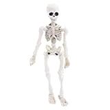 ZJL220 Movable Mr. Bones Skeleton Modello Umano Skull Full Body Mini Figure Toy Halloween