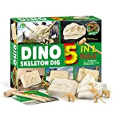 Zwini Dinosaur Dig Kit 5 in 1 fossili di Dinosauro Perforazione e scavo Kit Archeologia biologia Istruzione Giocattolo educativo Scienza